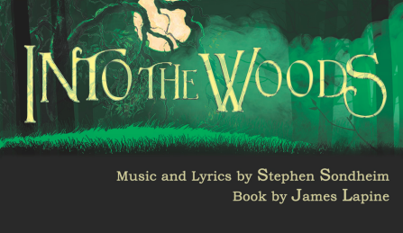 forest with moon shining through tree branches.